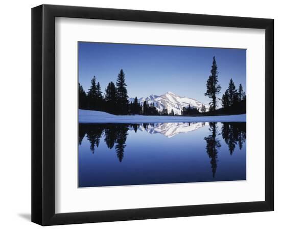 Premium Photographic Print, , large