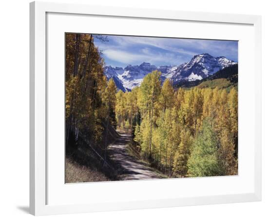 Framed Photographic Print, , large