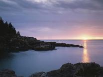 Seagull at Sunset Cliffs Tidepools on the Pacific Ocean, San Diego, California, USA-Christopher Talbot Frank-Photographic Print