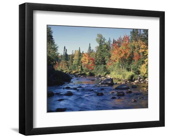 Premium Photographic Print, , large