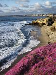California, Big Sur Coast, Central Coast, California Poppy and Ocean-Christopher Talbot Frank-Photographic Print