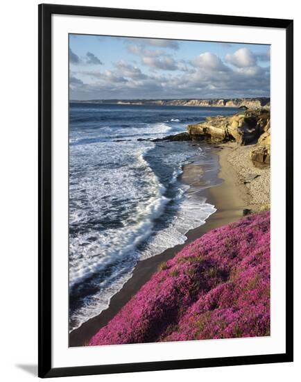 Framed Photographic Print, , large