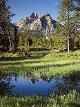 California, Sierra Nevada, Yosemite National Park, Backlit California Black Oaks-Christopher Talbot Frank-Photographic Print
