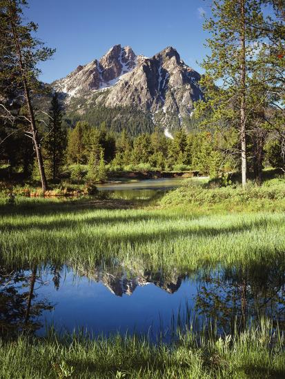 Premium Photographic Print, , large