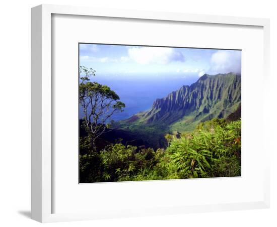 Framed Photographic Print, , large