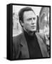 Christopher Walken-null-Framed Stretched Canvas