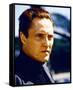 Christopher Walken-null-Framed Stretched Canvas