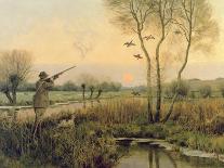 Pheasant Shooting-Christopher William Strange-Stretched Canvas