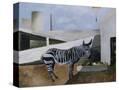 Stretched Canvas