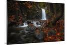 Stretched Canvas
