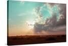 Stretched Canvas