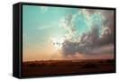 Canvas Black