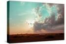 Stretched Canvas
