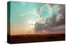 Stretched Canvas