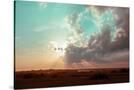 Stretched Canvas