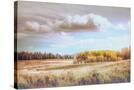 Stretched Canvas