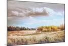 Wood Mount
