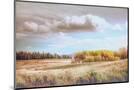 Wood Mount
