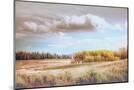 Wood Mount