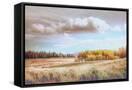 Canvas Black
