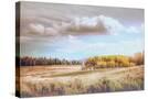 Stretched Canvas