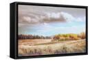 Canvas Black