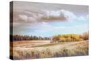 Stretched Canvas