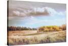 Stretched Canvas