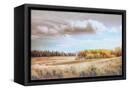 Canvas Black