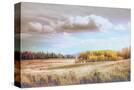 Stretched Canvas