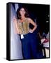 Christy Canyon-null-Framed Stretched Canvas