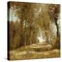 Stretched Canvas