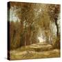Stretched Canvas