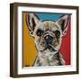 Chroma Dogs II-Carolee Vitaletti-Framed Art Print