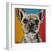 Chroma Dogs II-Carolee Vitaletti-Framed Art Print