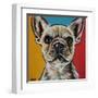 Chroma Dogs II-Carolee Vitaletti-Framed Art Print