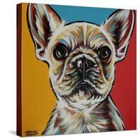 Chroma Dogs II-Carolee Vitaletti-Stretched Canvas