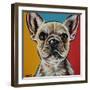 Chroma Dogs II-Carolee Vitaletti-Framed Art Print