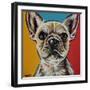Chroma Dogs II-Carolee Vitaletti-Framed Art Print