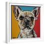 Chroma Dogs II-Carolee Vitaletti-Framed Art Print