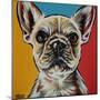 Chroma Dogs II-Carolee Vitaletti-Mounted Art Print