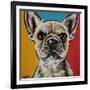 Chroma Dogs II-Carolee Vitaletti-Framed Art Print