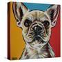 Chroma Dogs II-Carolee Vitaletti-Stretched Canvas