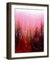 Chromatic Downpour-Ruth Palmer-Framed Art Print