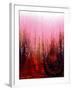 Chromatic Downpour-Ruth Palmer-Framed Art Print