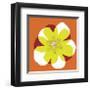 Chromatic Flower II-null-Framed Art Print