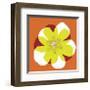 Chromatic Flower II-null-Framed Art Print