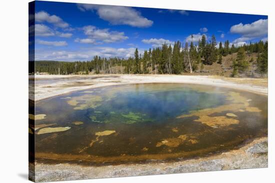 Chromatic Pool and Surrounds on a Clear Day, Upper Geyser Basin, Yellowstone National Park-Eleanor Scriven-Stretched Canvas