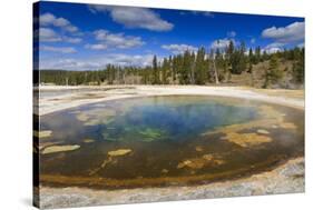 Chromatic Pool and Surrounds on a Clear Day, Upper Geyser Basin, Yellowstone National Park-Eleanor Scriven-Stretched Canvas