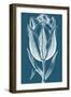 Chromatic Tulips I-Vision Studio-Framed Art Print